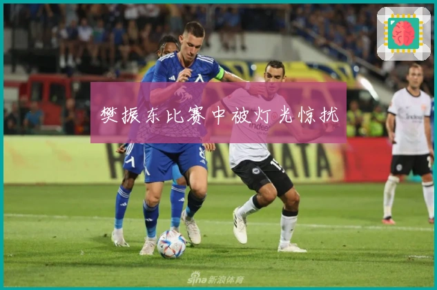 樊振东比赛中被灯光惊扰