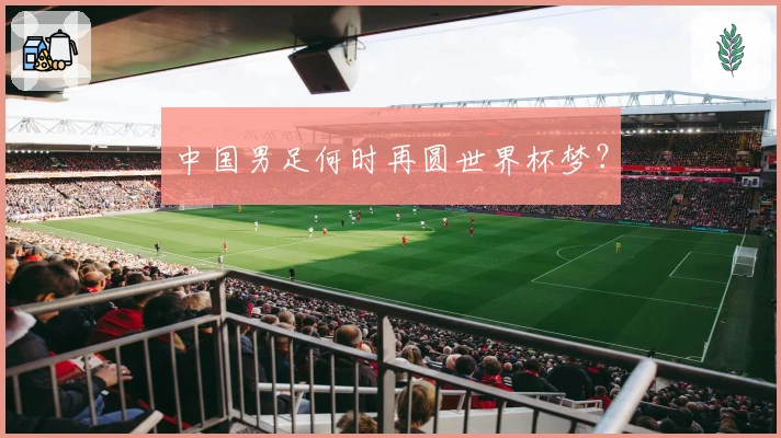 中国男足何时再圆世界杯梦？