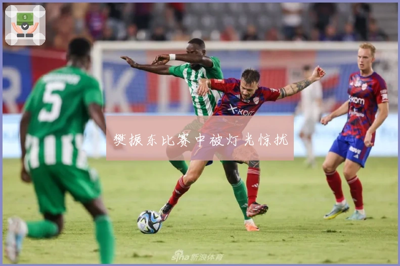 樊振东比赛中被灯光惊扰